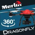 Merlin Dragonfly Merlin Dragonfly