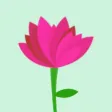 Rascal Peonies Rascal Peonies