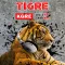 Tigre FM Fort Collins/Greeley