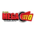 Mega 1310 Worcester Mega 1310 Worcester