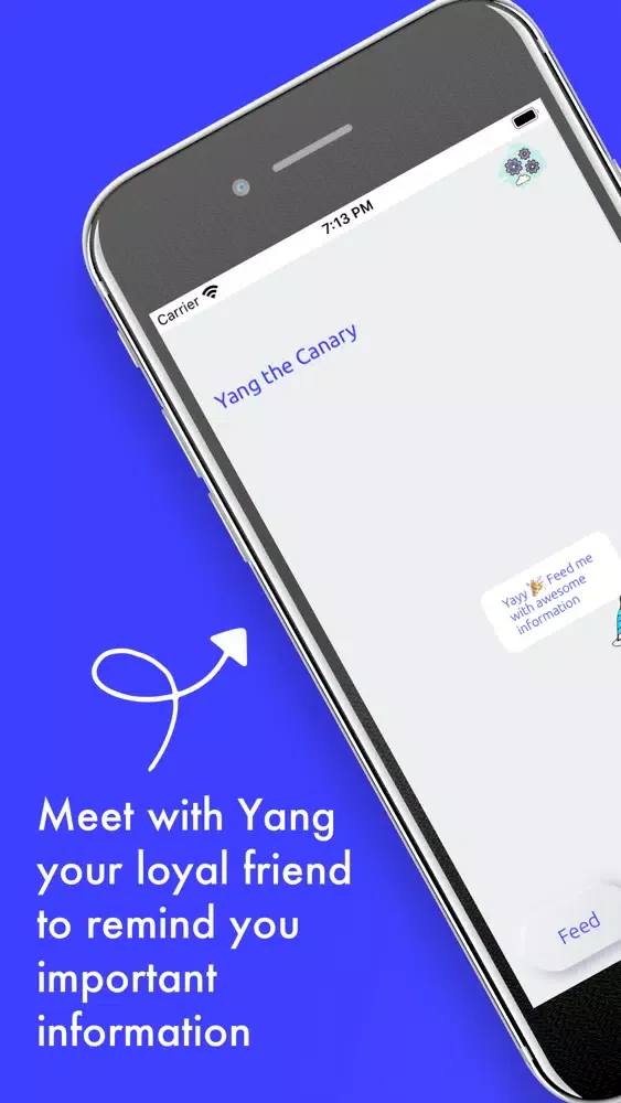 Yang The Canary Screenshots