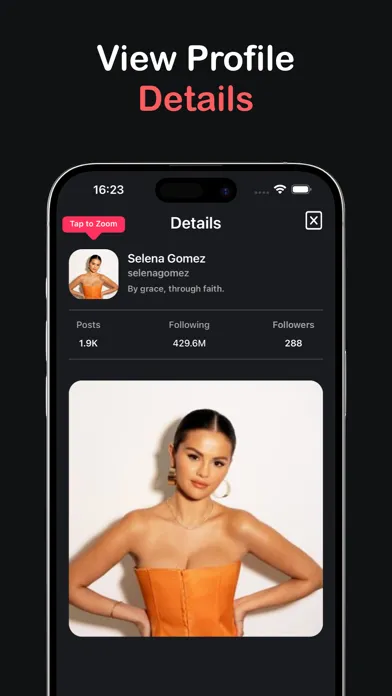 InsZoom: Profile Viewer应用截图
