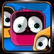 Bird Zooma Bird Zooma