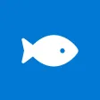 HTTP Fish
