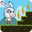 Bunny Run