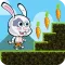 Bunny Run