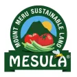 Mesula Food Grocery App Mesula Food Grocery App