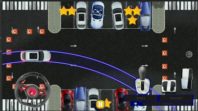 Top Down Realistic Car Parking স্ক্রিনশট