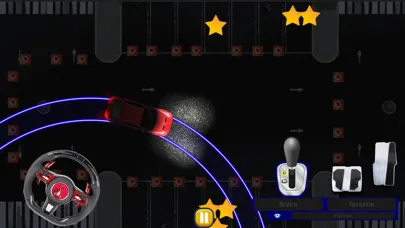 Top Down Realistic Car Parking স্ক্রিনশট