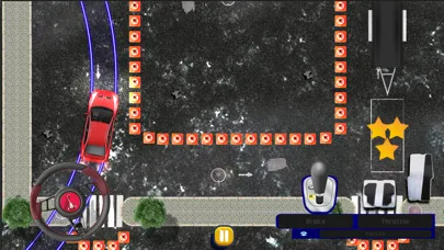 Top Down Realistic Car Parking স্ক্রিনশট