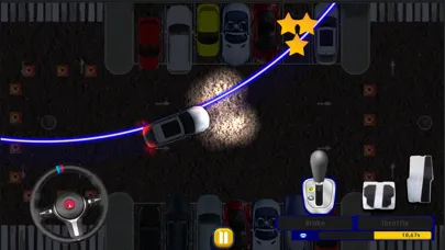 Top Down Realistic Car Parking স্ক্রিনশট