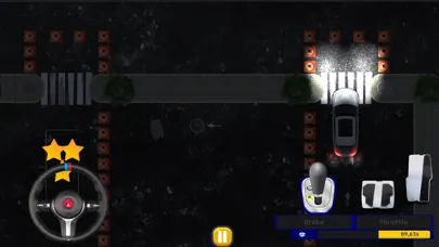 Top Down Realistic Car Parking স্ক্রিনশট