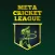 Meta Cricket League