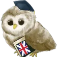 Learn English