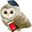 Learn Turkish