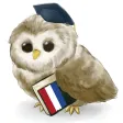 MTL Learn Dutch MTL Learn Dutch
