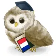 MTL Learn French MTL Learn French