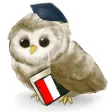 MTL Learn Indonesian