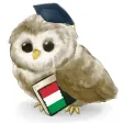 MTL Learn Italian MTL Learn Italian