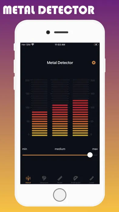 Screenshot di Metal Detector and EMF Meter