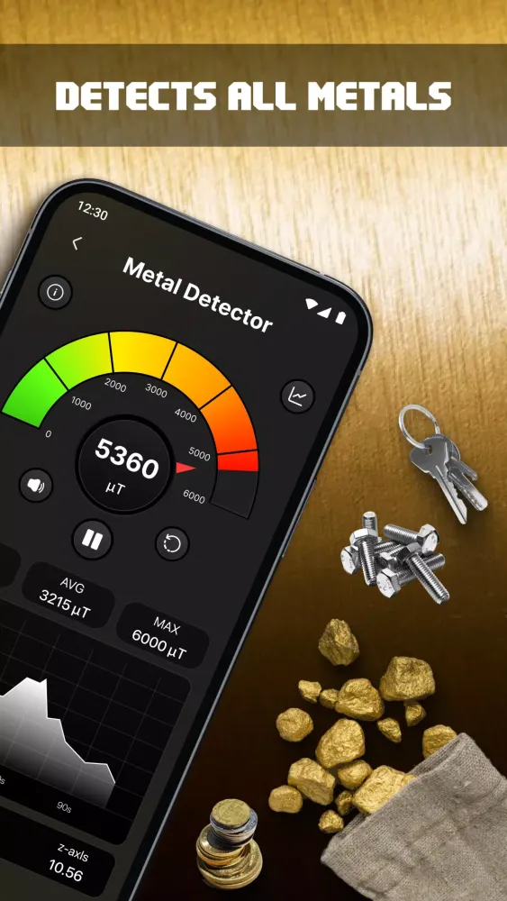 Metal Detector Screenshots