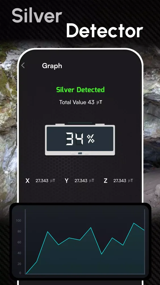 Tangkapan skrin Metal Detector