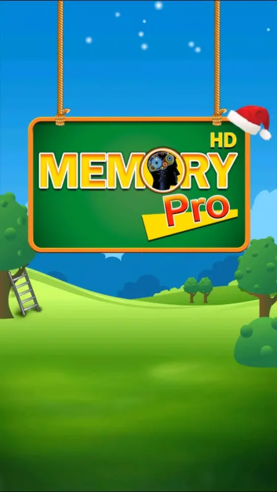 Memory Pro HD应用截图