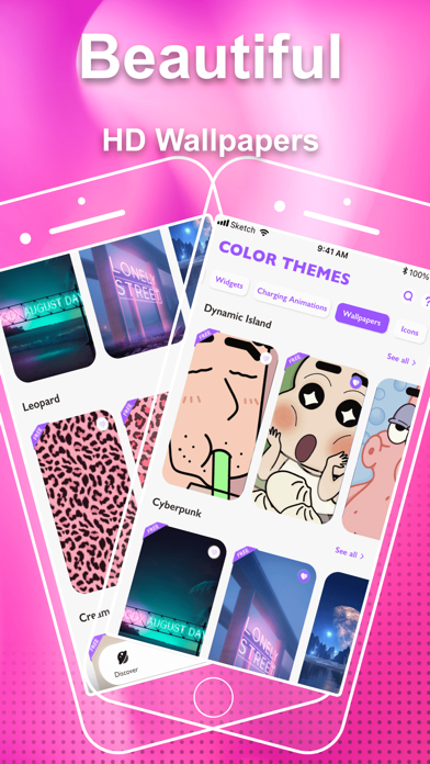 Color Themes: Standby & Widget應用截圖