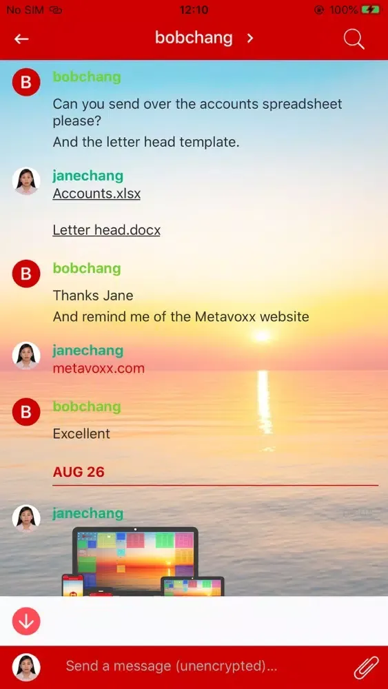 تصاویر Metavoxx Business