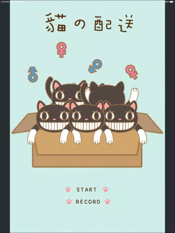 تصاویر 猫の配送 iPad 