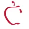 Cumberland County FCU