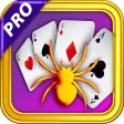 250 Spider Solitaire Spiderette Square Card Ace Blitz Classic Pro 250 Spider Solitaire Spiderette Square Card Ace Blitz Classic Pro
