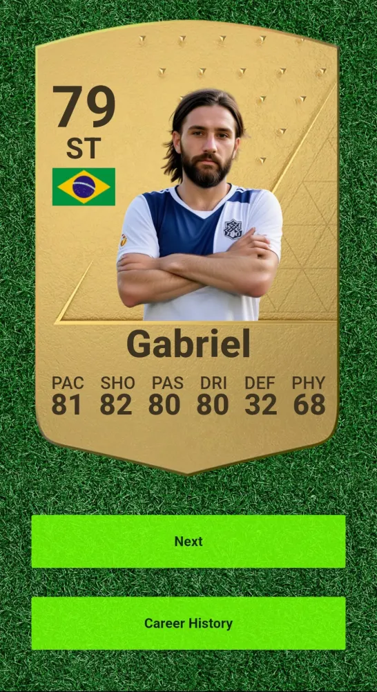 Brazilian League Simulation Screenshots
