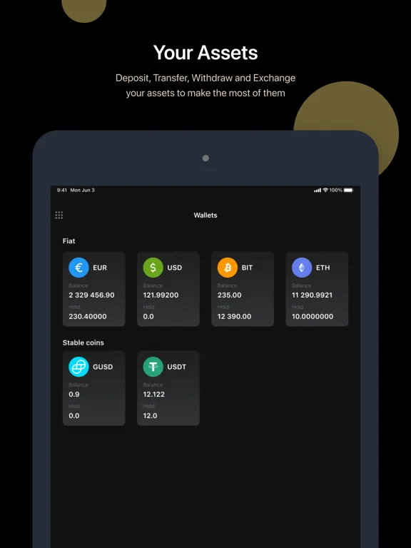 Ananda iPad  Screenshots