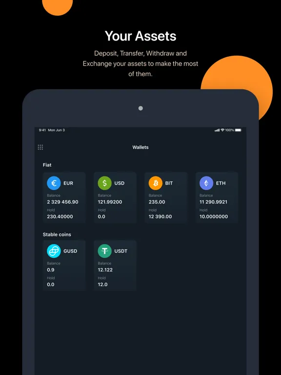 Zrzuty ekranu Rahal Group iPad 