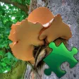 Mushrooms Puzzles