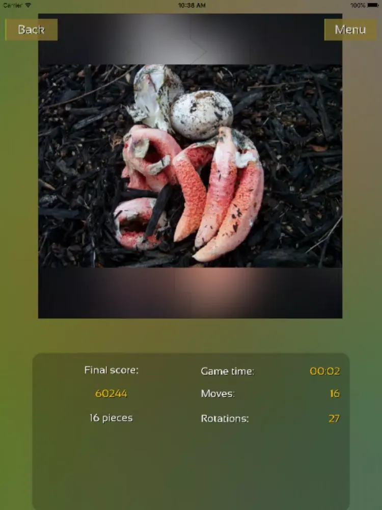 Mushrooms Puzzles iPad 應用截圖