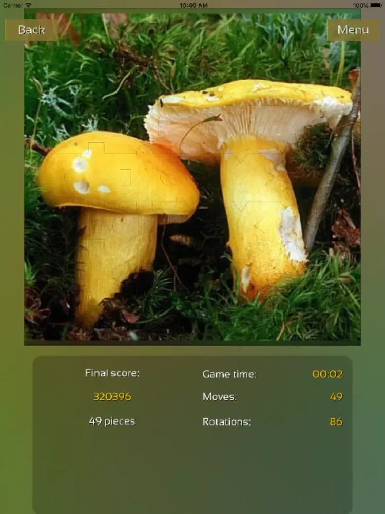 Mushrooms Puzzles iPad 應用截圖