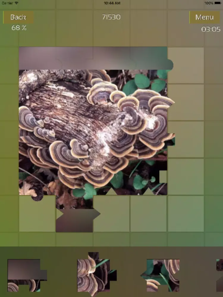 Mushrooms Puzzles iPad 應用截圖