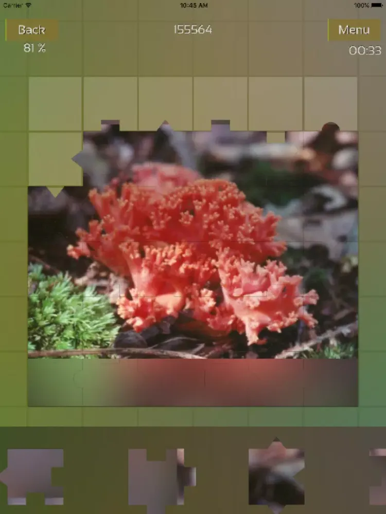 Mushrooms Puzzles iPad 應用截圖