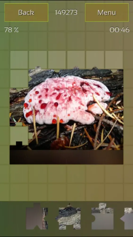 Mushrooms Puzzles應用截圖