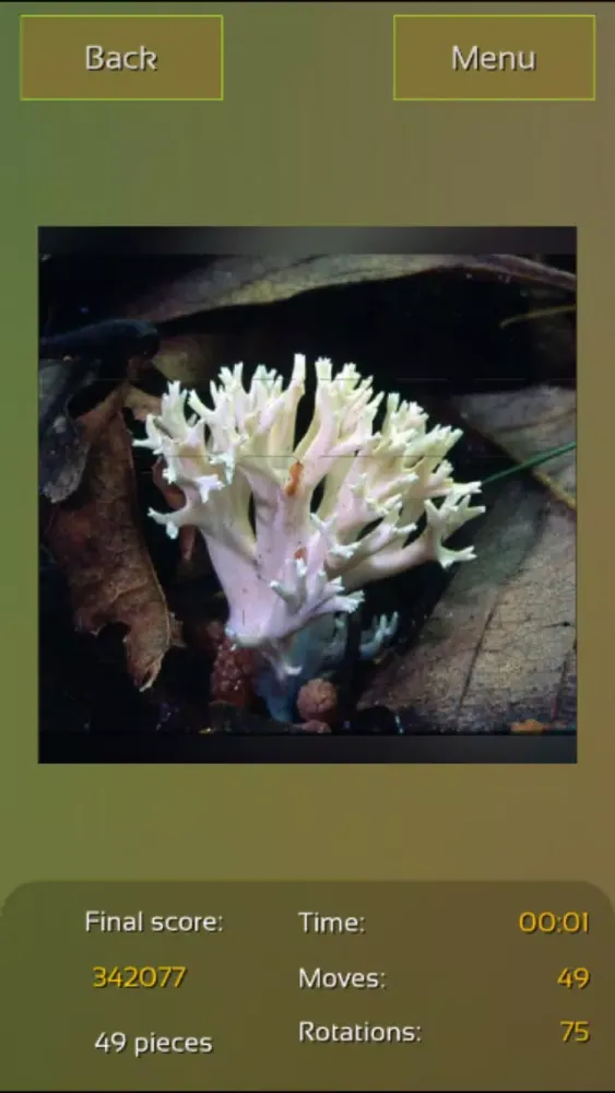 Mushrooms Puzzles應用截圖