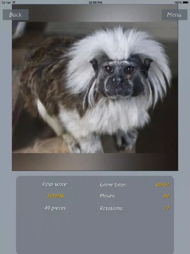 Captures d'écran de Animals - Amazing Puzzle iPad 