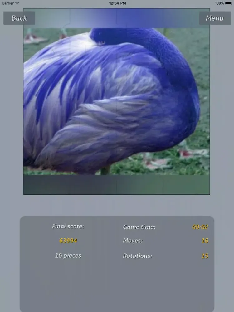 Captures d'écran de Animals - Amazing Puzzle iPad 