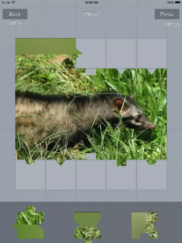 Captures d'écran de Animals - Amazing Puzzle iPad 