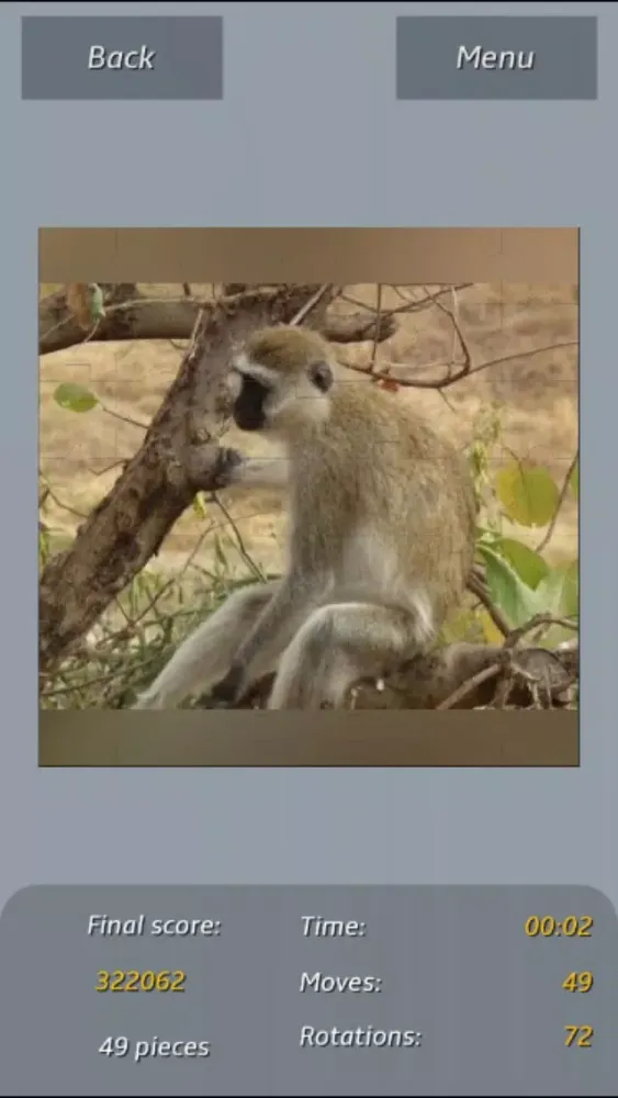 Captures d'écran de Animals - Amazing Puzzle