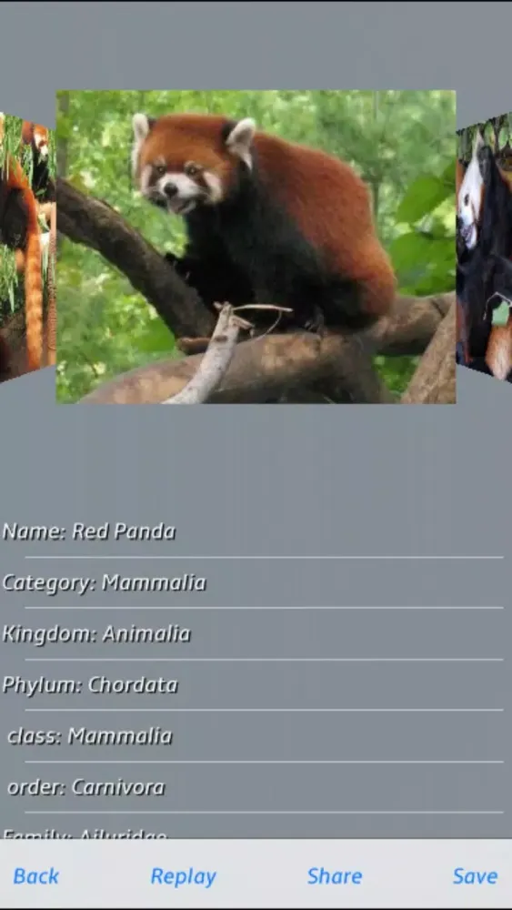 Captures d'écran de Animals - Amazing Puzzle