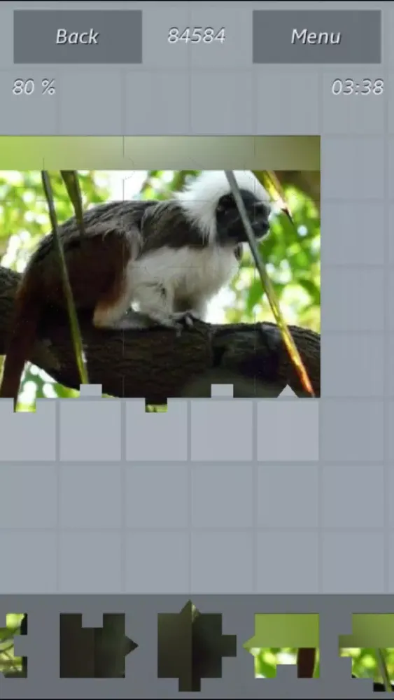 Captures d'écran de Animals - Amazing Puzzle