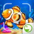 Fishy Ola - Fish Paparazzi