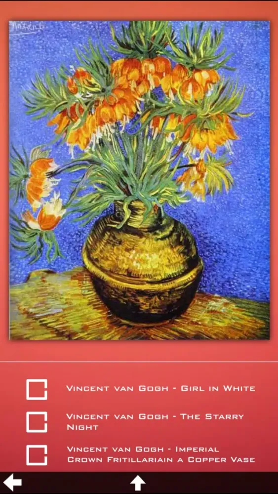Ảnh chụp màn hình của Art gallery - Van Gogh